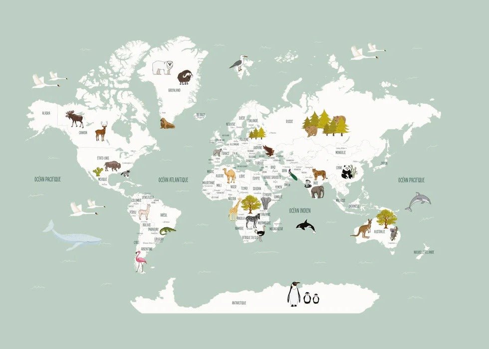 Wallpaper World Map in French for Children, Green