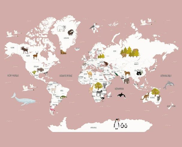 Children's French world map wallpaper old pink