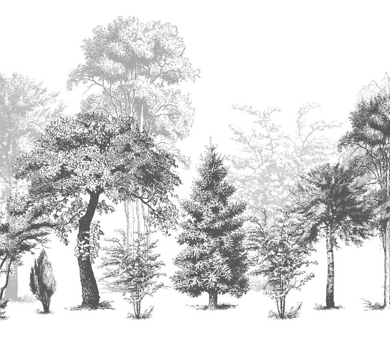 Nature bathroom wallpaper in black and white