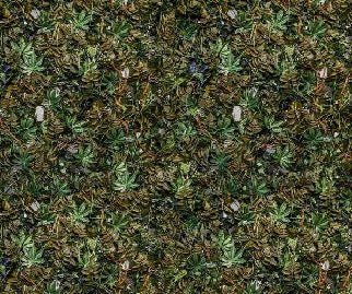 Panoramic trompe l'oeil wallpaper plant wall