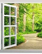 Trompe l'oeil forest walk wallpaper