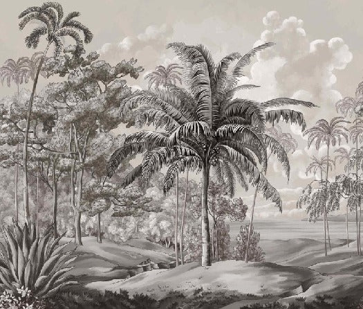 Black and white Sulawesi landscape wallpaper