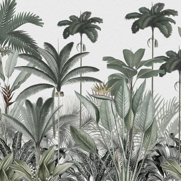 Papier peint panoramique jungle tree, XXL, tendance