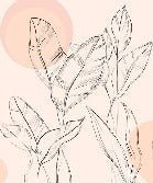 Graceful Flora Wallpaper