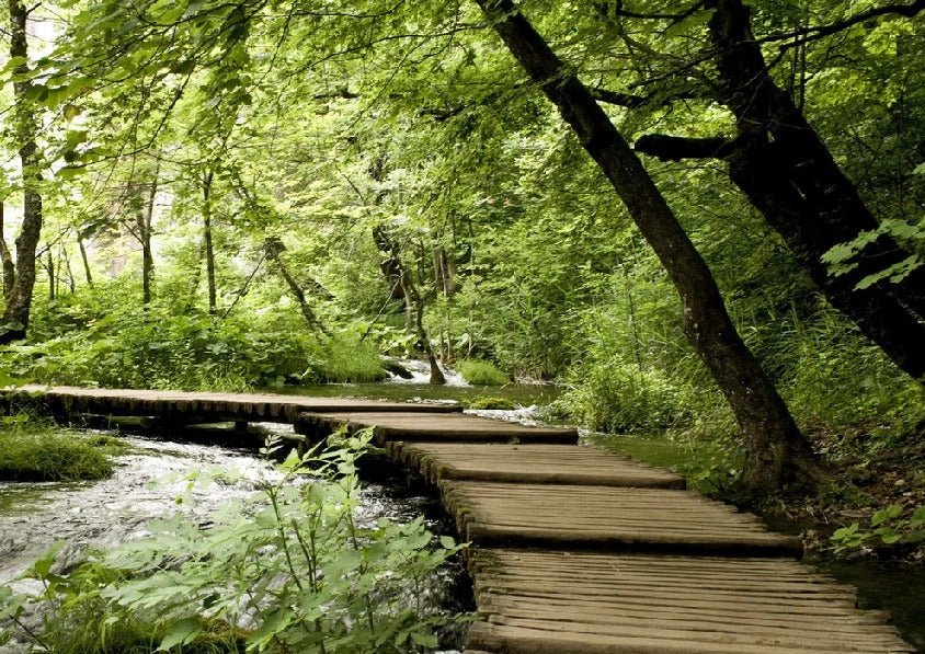 Bistro trompe l'oeil forest path wallpaper