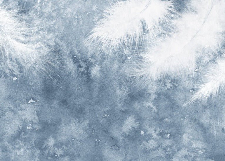 Plume Blanche wallpaper