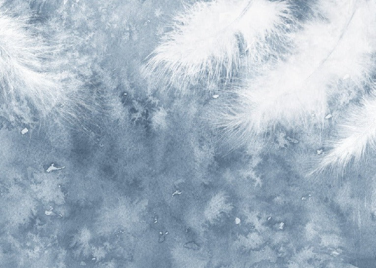 Plume Blanche wallpaper