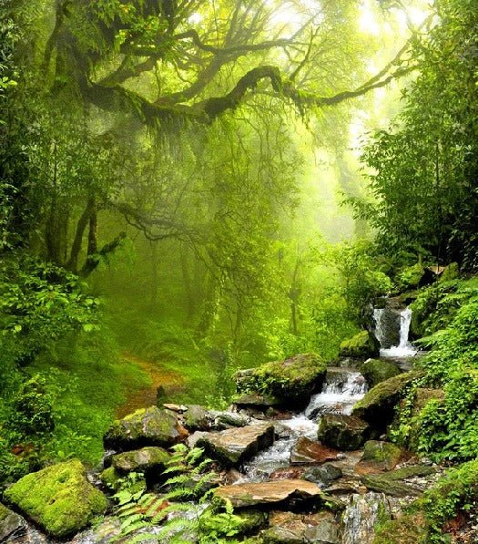 Cascade & Forest wallpaper