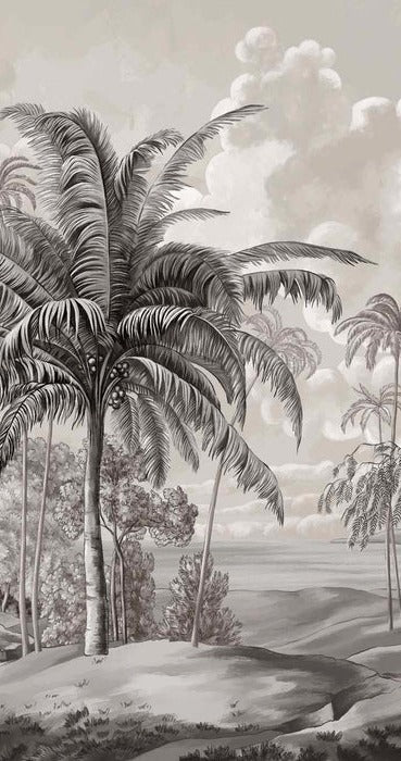 Black and white Sulawesi landscape wallpaper