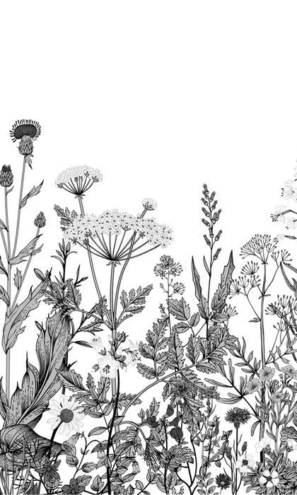 Black and white botanical folk wallpaper