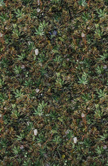 Panoramic trompe l'oeil wallpaper plant wall