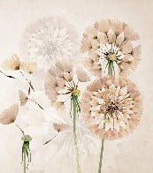 Dandelion flower wallpaper