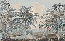 Blue Sulawesi landscape wallpaper