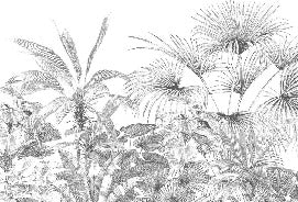 Papier peint tropical gravure monochrome, XXL, tendance