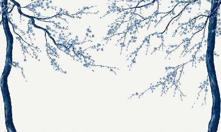 Sakura white panoramic flower wallpaper