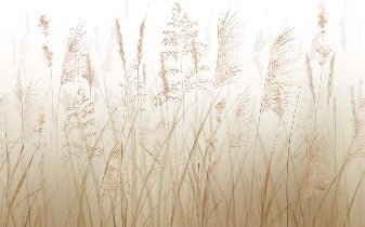 Flower wallpaper of the wheat fields