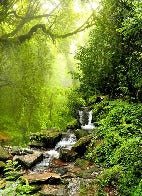 Cascade & Forest wallpaper