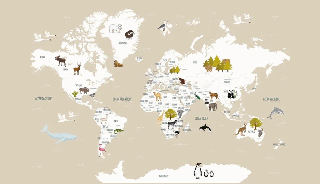 Papier peint Carte du monde en Francais enfant beige, XXL, tendance
