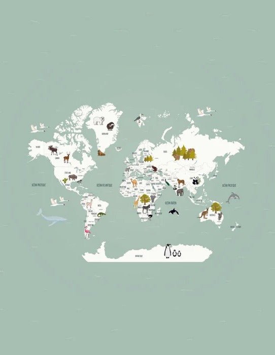 Children's French world map wallpaper green