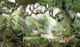 Children's wallpaper secret jungle