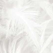 Subtle feather wallpaper