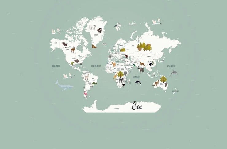 Children's French world map wallpaper green