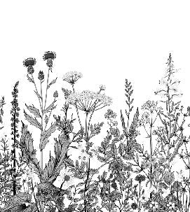 Black and white botanical folk wallpaper