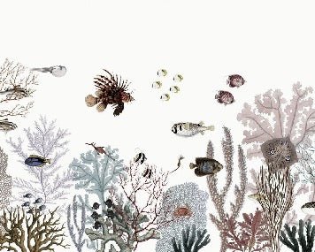 Reef and coral wallpaper