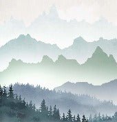 Forest morning mist wallpaper