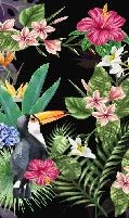Tropical & Toucan wallpaper