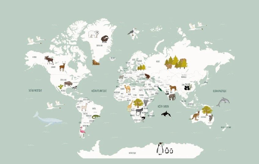 Children's French world map wallpaper green