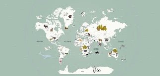 Children's French world map wallpaper green