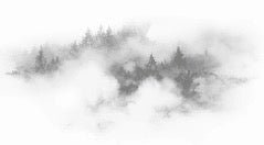 Cimes mist wallpaper grey