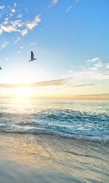 Paradise Beach wallpaper