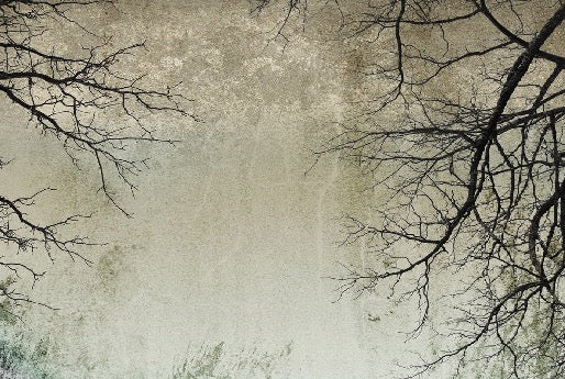 Enchanted Forest wallpaper