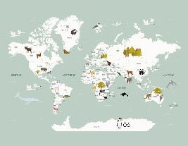 Children's French world map wallpaper green
