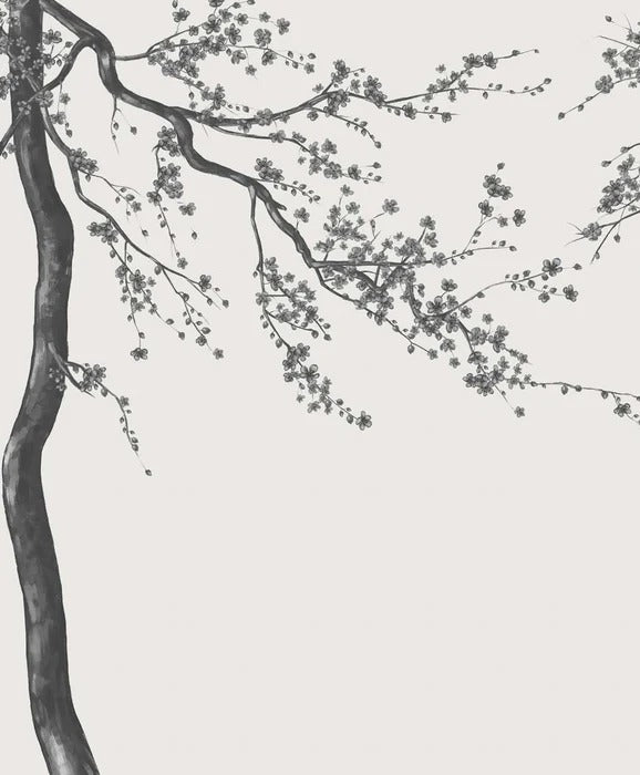Black and white Sakura flower panoramic wallpaper