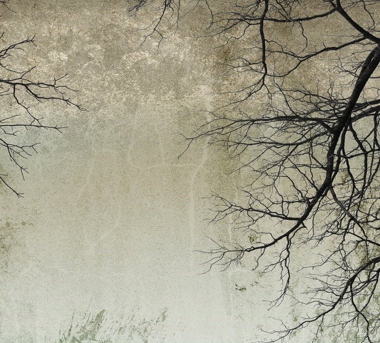 Enchanted Forest wallpaper