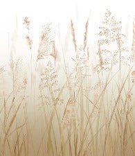 Wheat field flower wallpaper