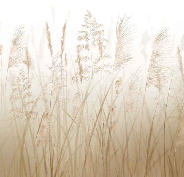 Wheat field flower wallpaper