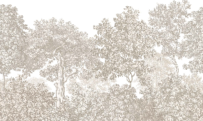 Landscape wallpaper forest engraving beige
