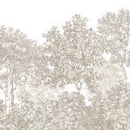 Beige engraved forest landscape wallpaper