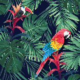 Exotic Parrot Wallpaper
