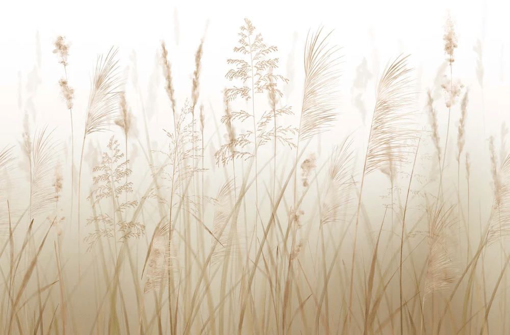 Wheat field flower wallpaper