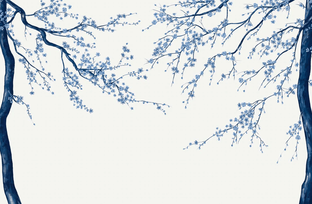 White Sakura flower panoramic wallpaper