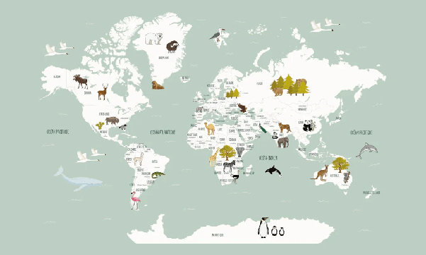 Wallpaper World Map in French for Children, Green