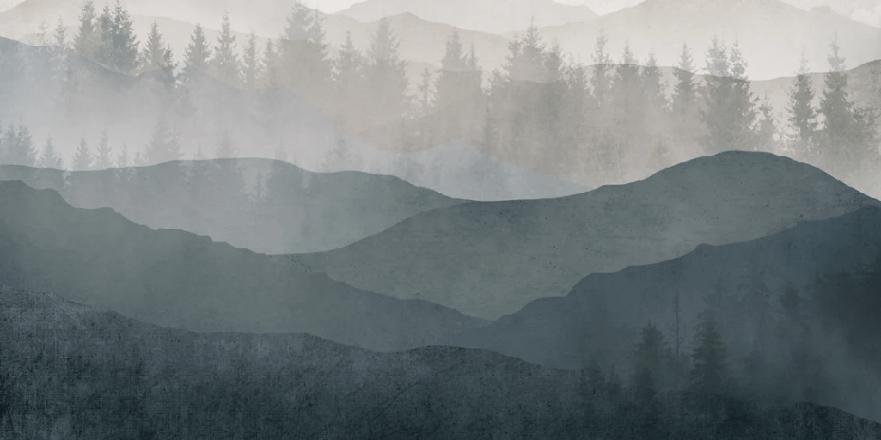 Black and white nature panorama restaurant wallpaper