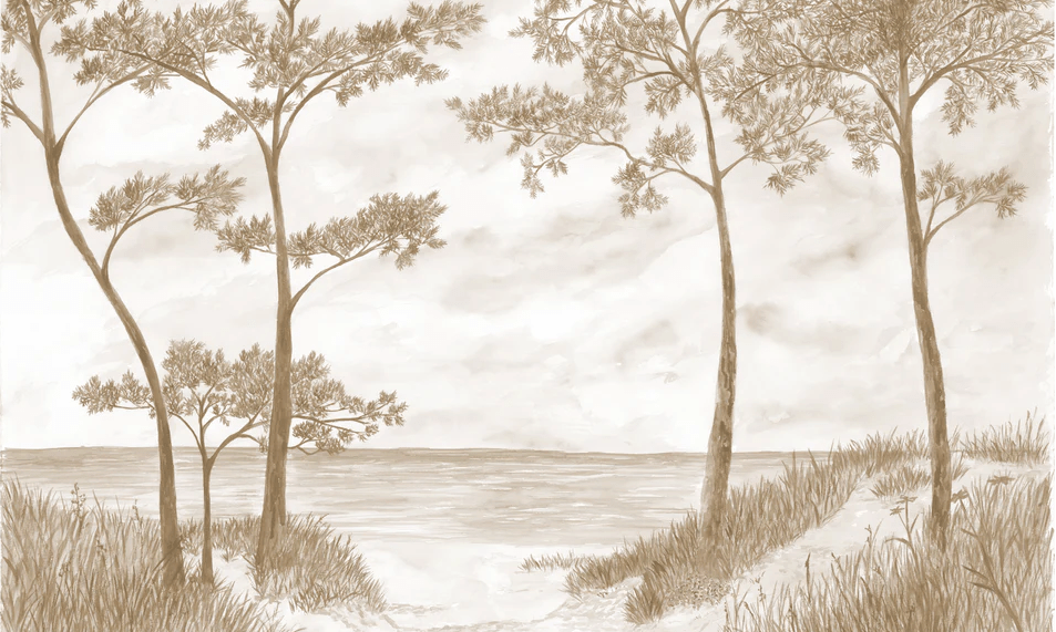 Papier peint Pins maritimes et dunes - Sépia - Muralconcept