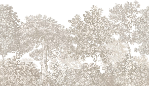 Landscape wallpaper forest engraving beige