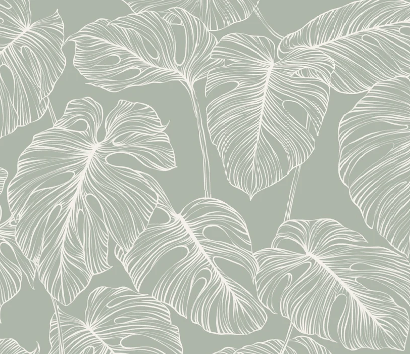 Monstera sage leaf wallpaper